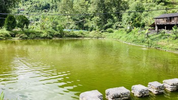 बम, बारुद खेलाउने बमबहादुर गुरुङ कृषिमा रमाउँदै