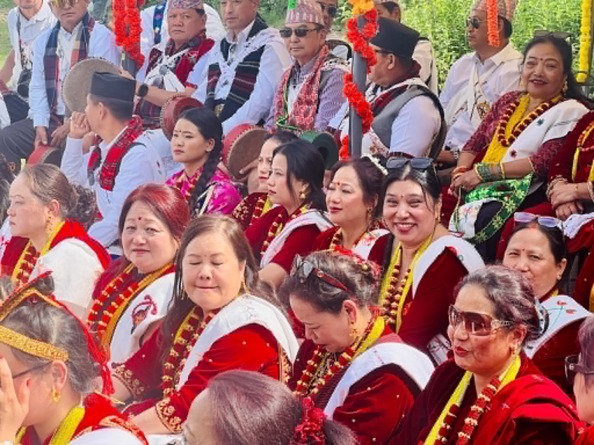 Kaura-Photo-3-1781599062.jpg